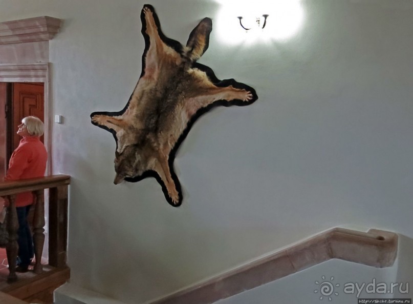 Музейные интерьеры Мирского замка