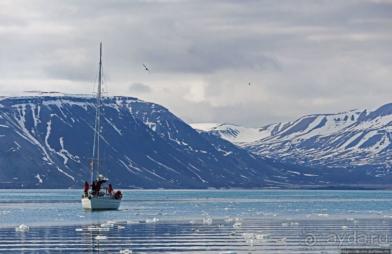 Шпицберген на яхтах. Стартуем в Биллефьорд