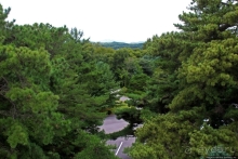 JSA — точка соприкосновения Северной и Южной Корей