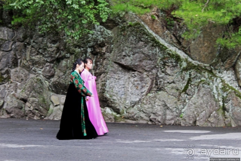 Чашка кофею