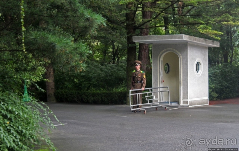 Чашка кофею