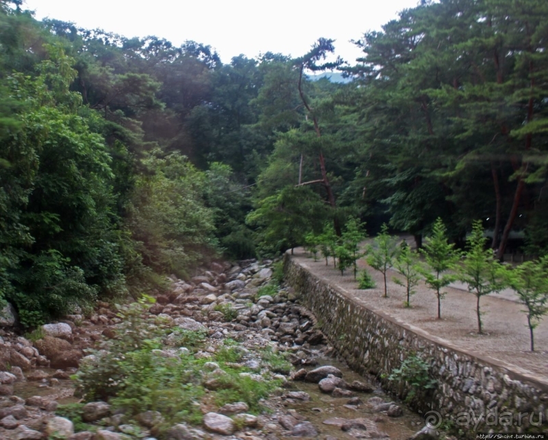 Чашка кофею