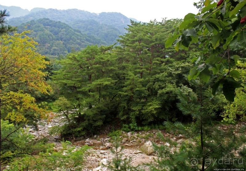 Чашка кофею