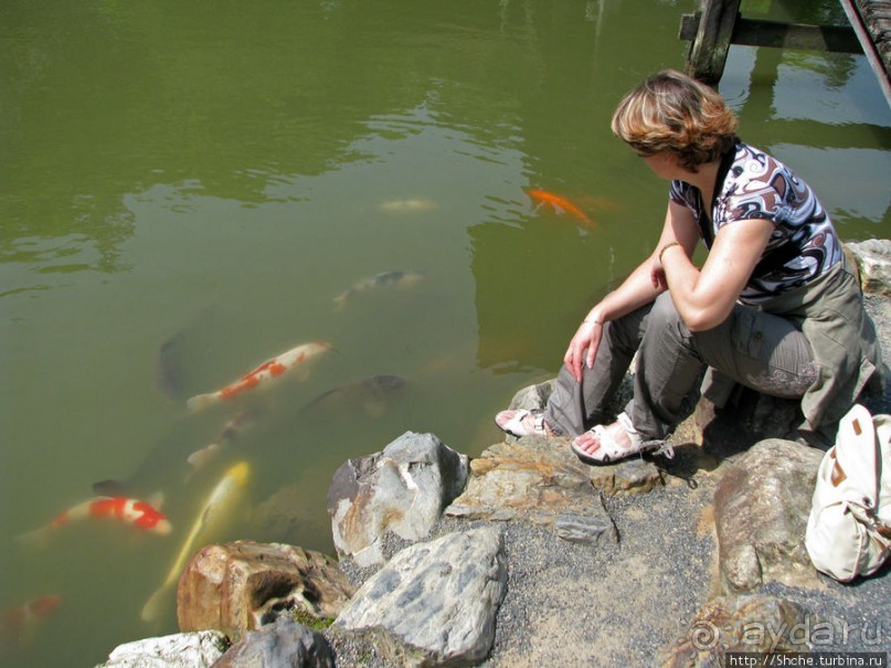 Храмовый комплекс Eiho-ji, действующий монастырь дзэн 14 век