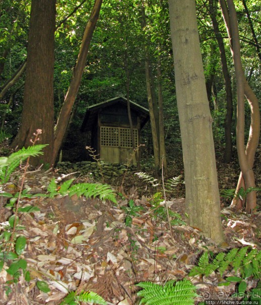 Храмовый комплекс Eiho-ji, действующий монастырь дзэн 14 век