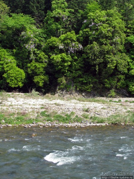 Храмовый комплекс Eiho-ji, действующий монастырь дзэн 14 век