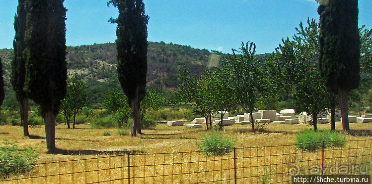 Некрополь средневековой боснийской церкви в Радимле