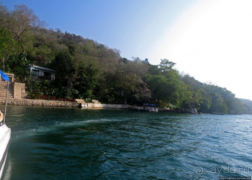 фото Флорес