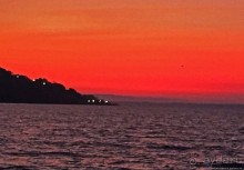 фото Флорес