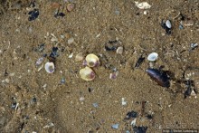 Пляжи тоже умеют грустить... Римини в октябре