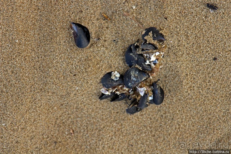 Пляжи тоже умеют грустить... Римини в октябре