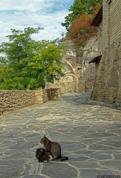 Уж 1000 лет, как приютился на меловой круче над Днестром