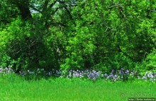 На авто по штату Нью-Йорк