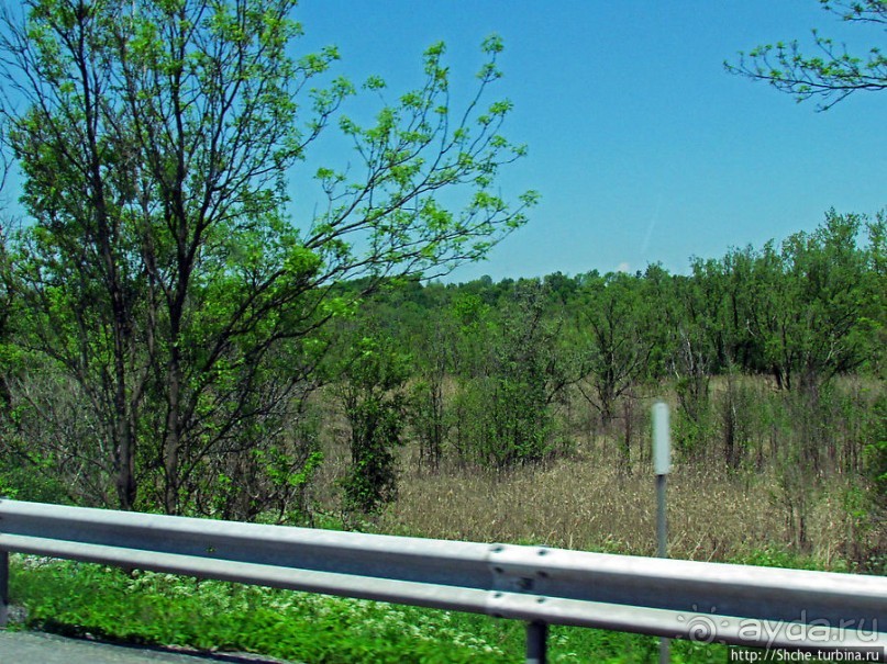 На авто по штату Нью-Йорк