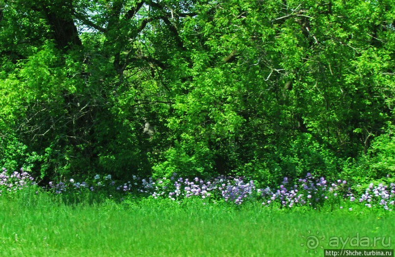 На авто по штату Нью-Йорк