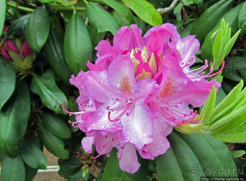 Уинтроп — типичный городок Новой Англии на берегу Атлантики