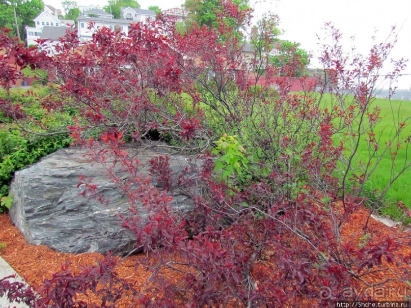 Уинтроп — типичный городок Новой Англии на берегу Атлантики