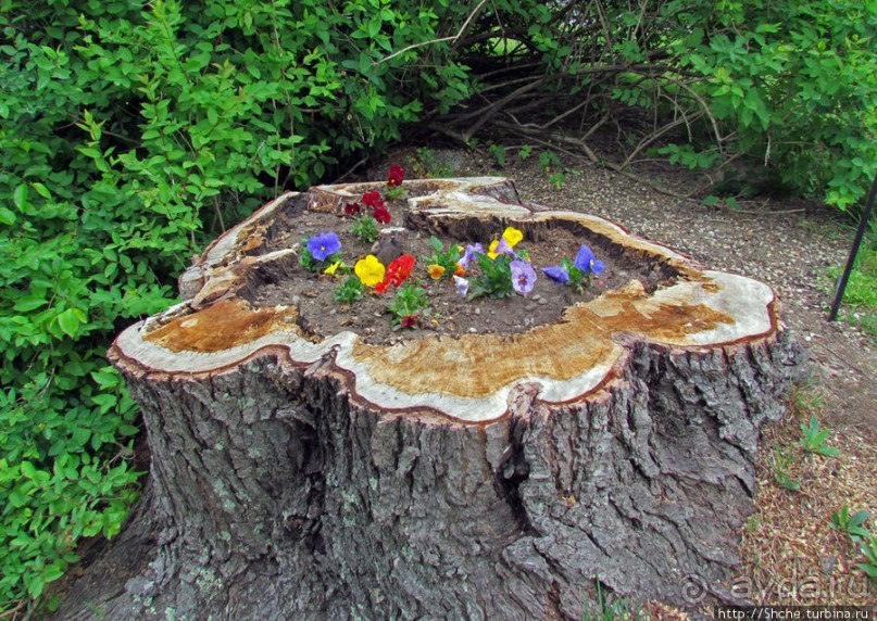 Уинтроп — типичный городок Новой Англии на берегу Атлантики