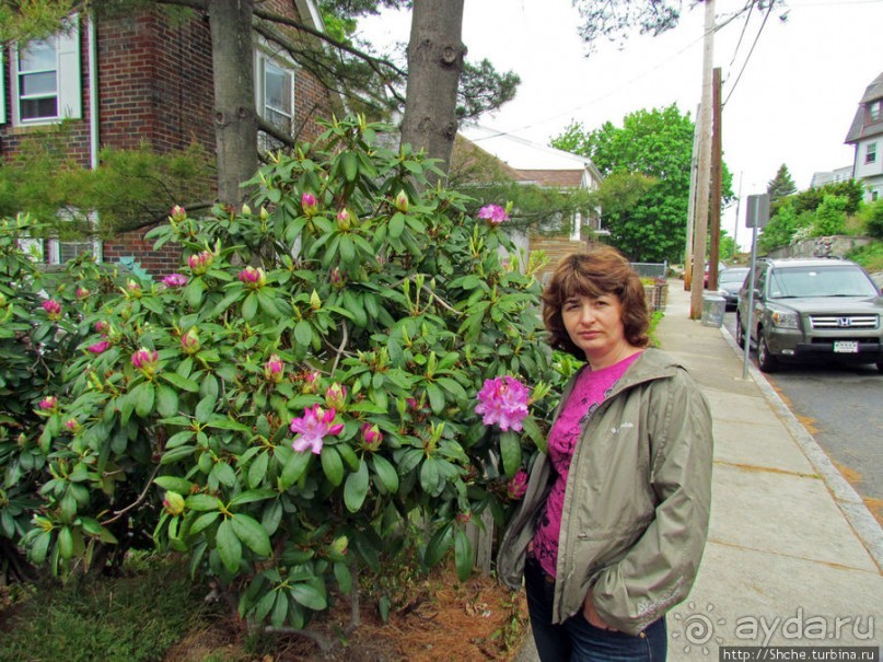 Альбом отзыва "Уинтроп — типичный городок Новой Англии на берегу Атлантики"