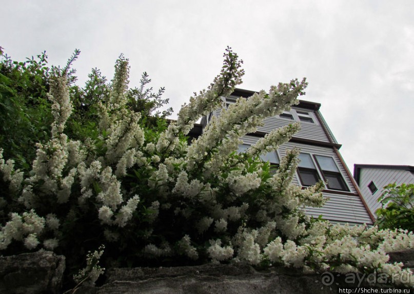 Уинтроп — типичный городок Новой Англии на берегу Атлантики