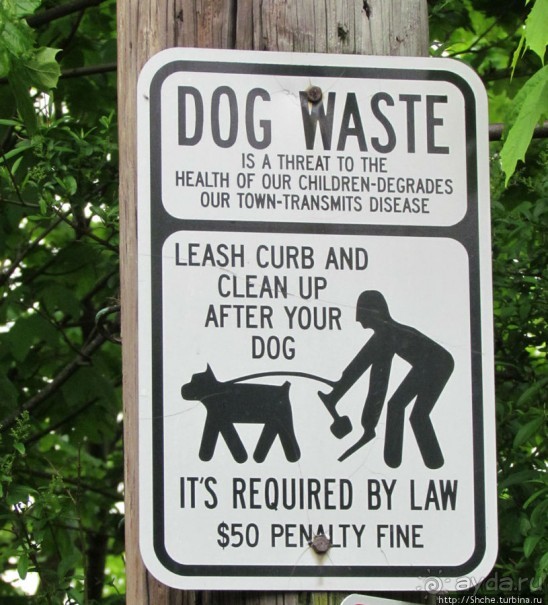 Уинтроп — типичный городок Новой Англии на берегу Атлантики