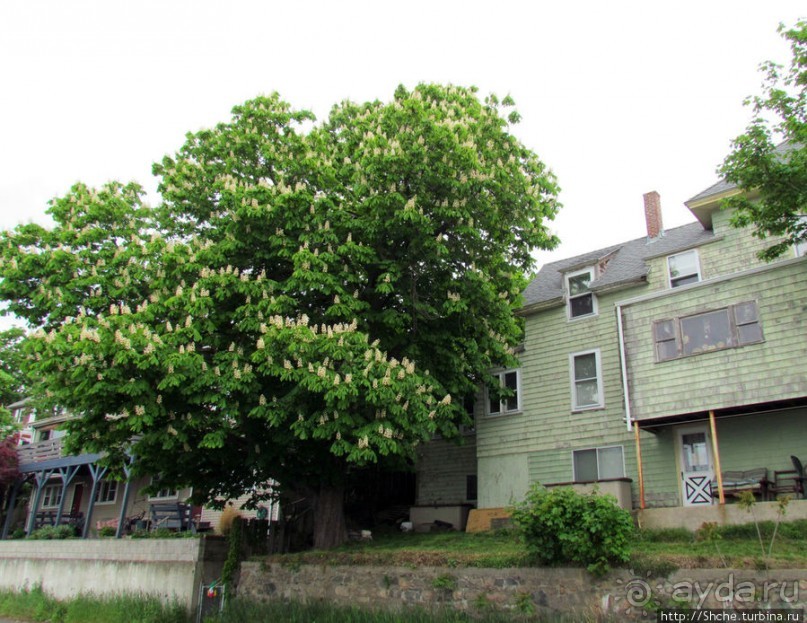 Уинтроп — типичный городок Новой Англии на берегу Атлантики