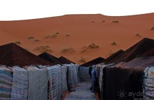 Сахара и я посередине на белом верблюде