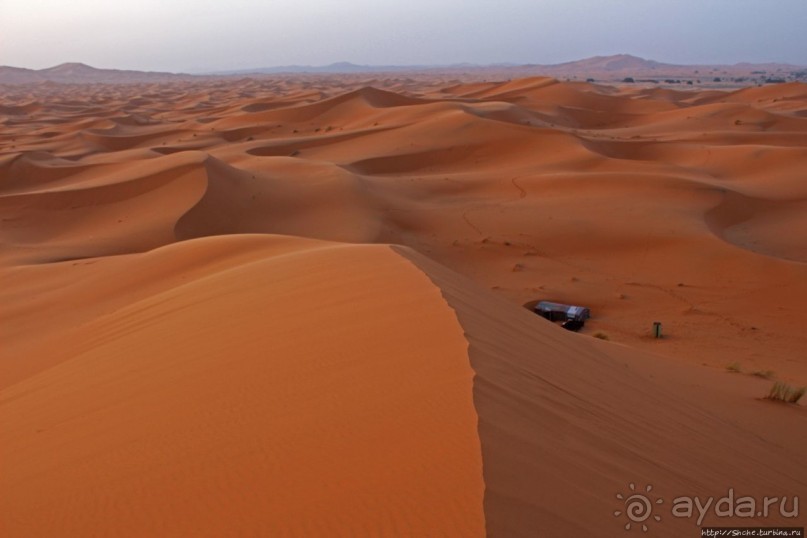 Сахара и я посередине на белом верблюде