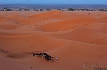 Сахара и я посередине на белом верблюде