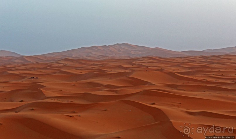 Сахара и я посередине на белом верблюде
