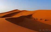 Сахара и я посередине на белом верблюде