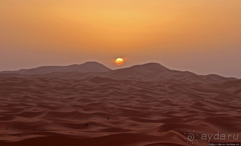 Сахара и я посередине на белом верблюде