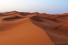 Сахара и я посередине на белом верблюде