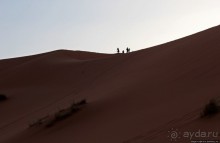 Сахара и я посередине на белом верблюде