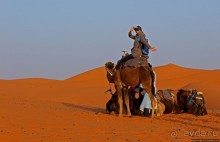 Сахара и я посередине на белом верблюде