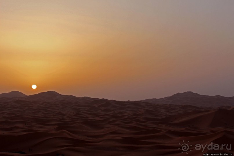 Сахара и я посередине на белом верблюде