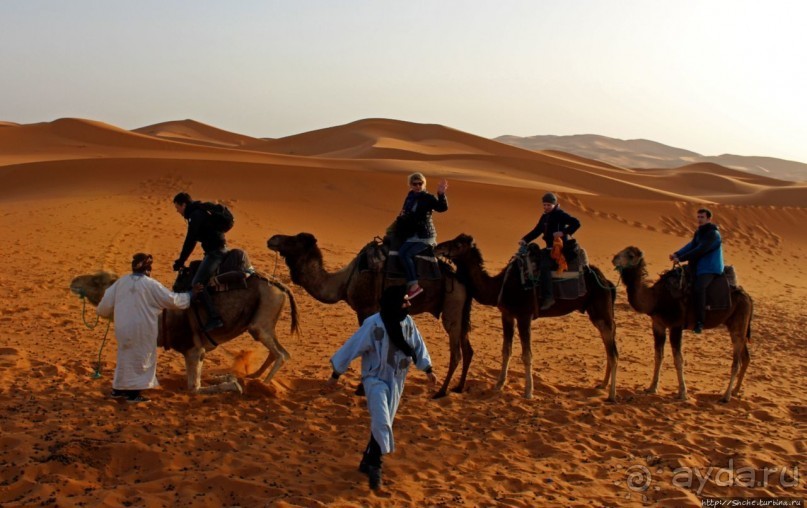 Сахара и я посередине на белом верблюде