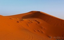 Сахара и я посередине на белом верблюде