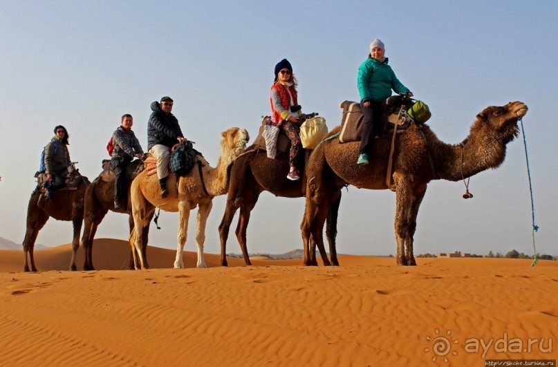 Сахара и я посередине на белом верблюде