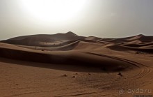 Сахара и я посередине на белом верблюде