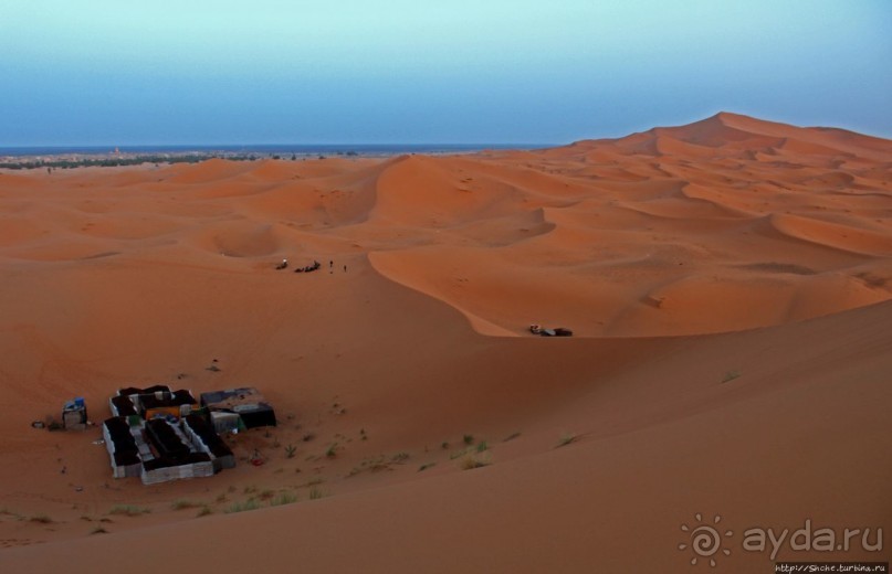 Сахара и я посередине на белом верблюде