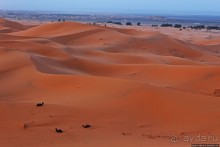 Сахара и я посередине на белом верблюде