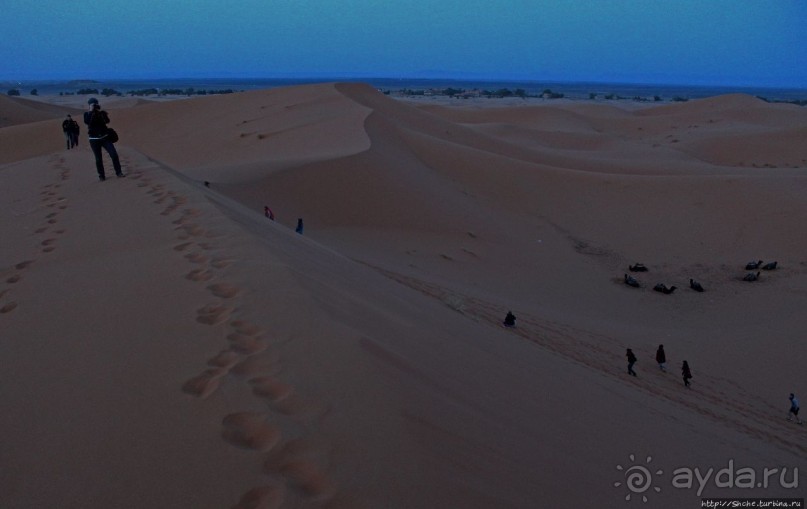 Сахара и я посередине на белом верблюде