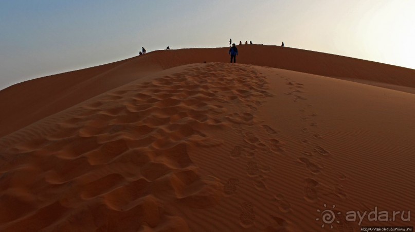 Сахара и я посередине на белом верблюде