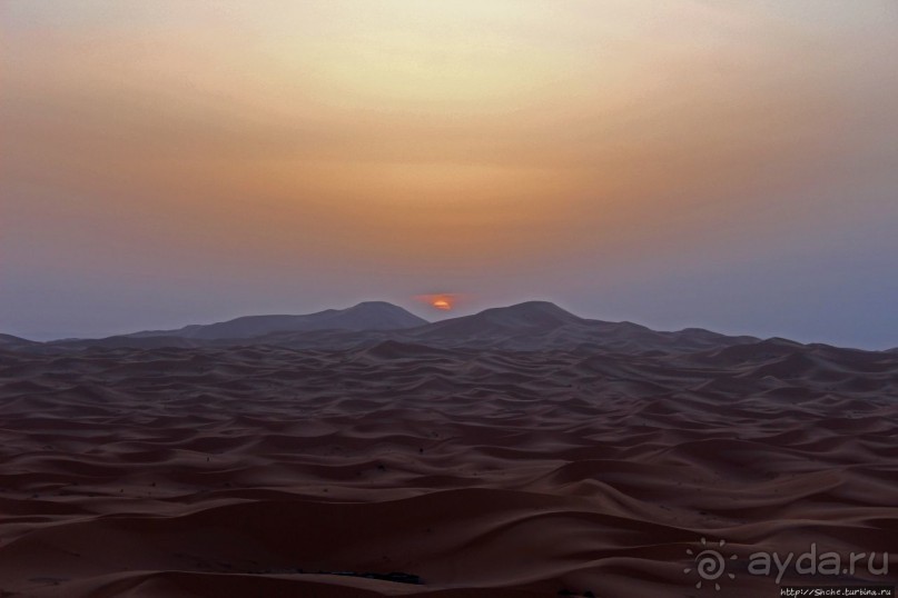 Сахара и я посередине на белом верблюде