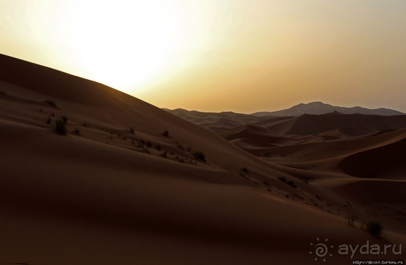 Сахара и я посередине на белом верблюде