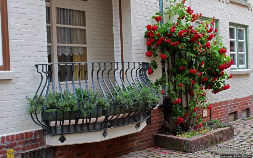 Чтобы все так жили