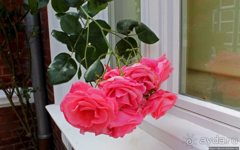 Чтобы все так жили