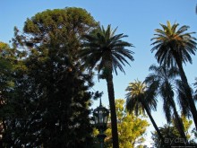 Буэнос диас, буэнос ночес, Буэнос-Айрес