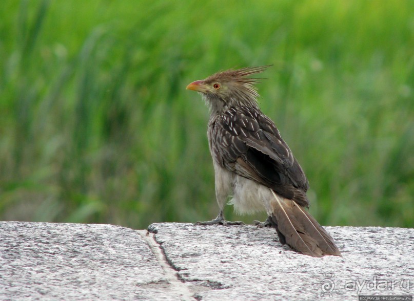 Буэнос диас, буэнос ночес, Буэнос-Айрес Буэнос диас, буэнос ночес, Буэнос-Айрес